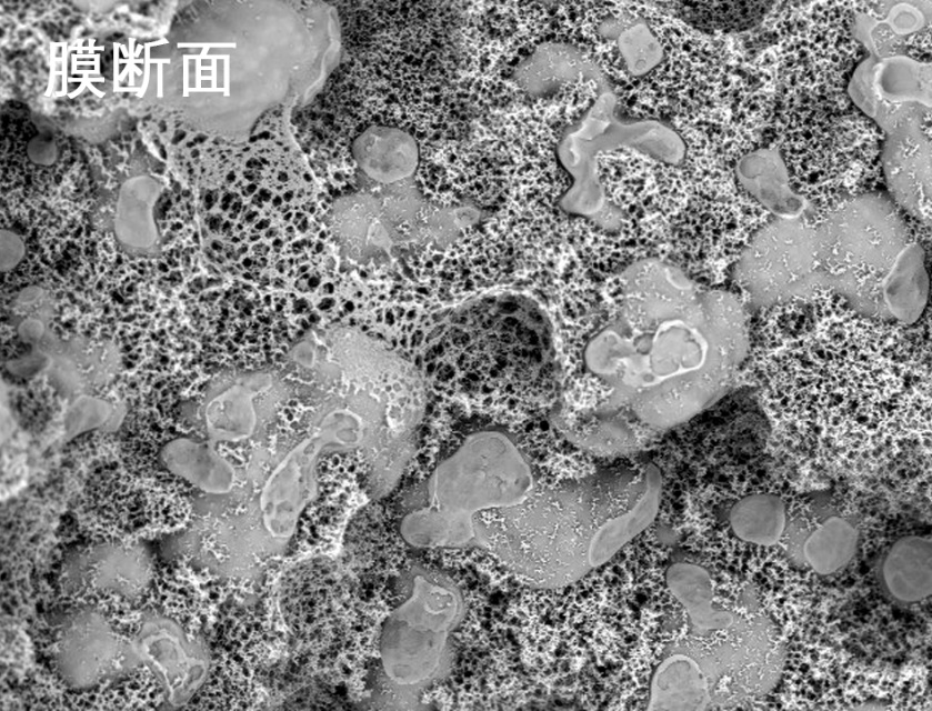 人生就是搏烧结管式膜电镜照片